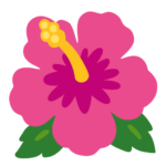 Hibisco